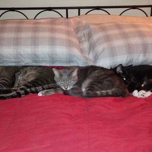 Meet your Posher, Cindy